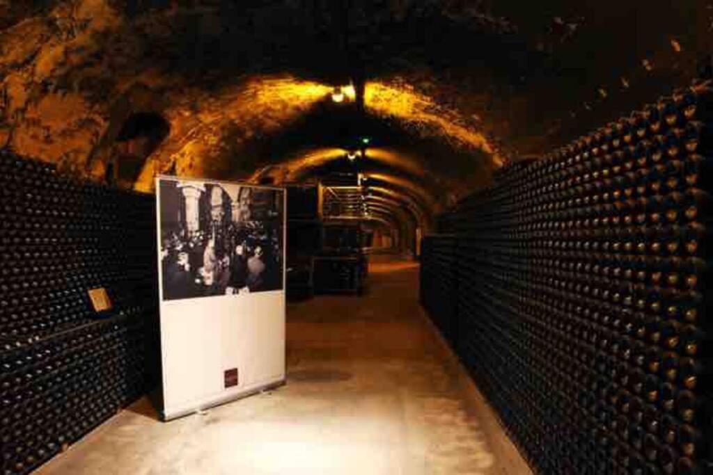 Apppartement Des Sacres De Reims Daire Dış mekan fotoğraf
